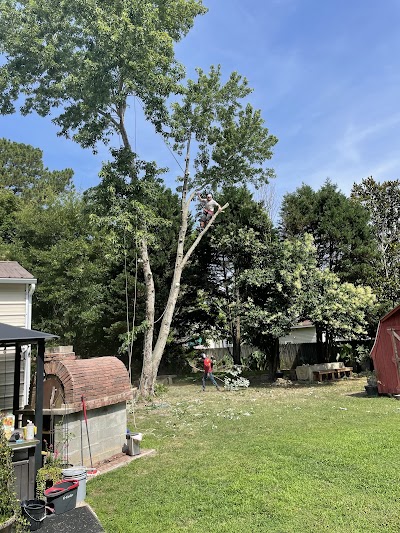 Brooks Tree Services